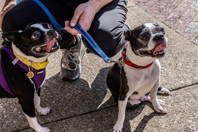 The Animal Care Center at Cherry Way offers a variety of care options for your furry friends.