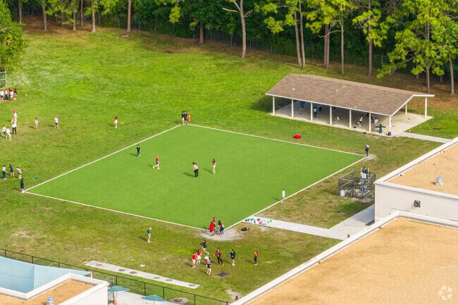 Harmonious Learning unfolds as Pupils Explore, Inspiring Dreams to Sprout.