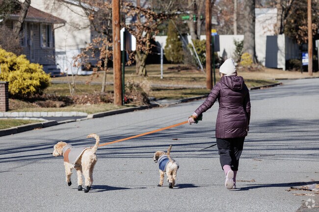 Quiet streets in Washington Township, New Jersey are perfect for walking your dog.