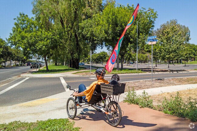 A bicyclist enjoys a ride down a quiet City of Turlock street.