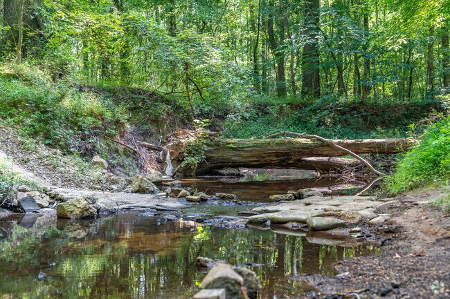 Nesbit Park is in the middle of Bartlett, but it feels natural and wild.