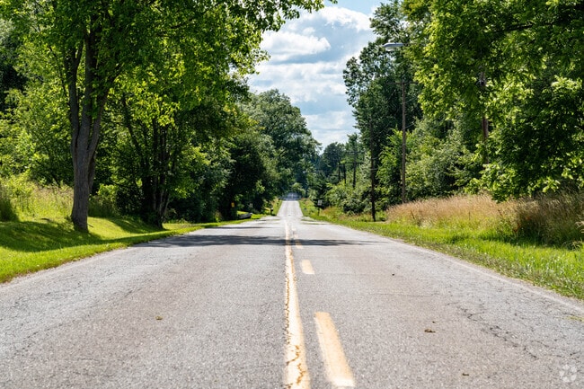A canopy of trees line the rural roads of McGuffey Heights.