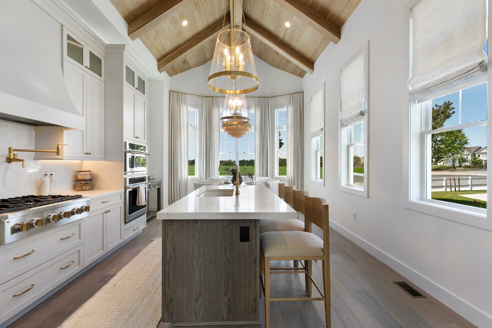 Country Pointe Preserve, The Birch Plan unit 36457163, Yaphank, NY - photo 1