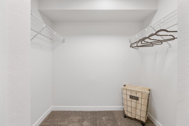 The Baxter, Bellevue, WA 98004 - photo 3