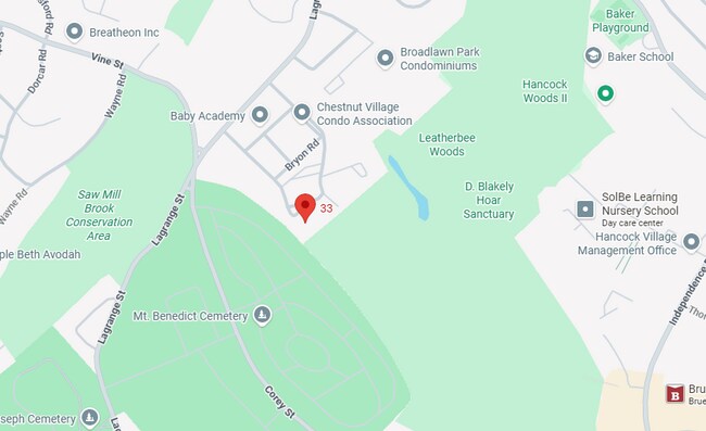 33 Westgate Rd unit 5, Boston College, MA 02467 - photo 2