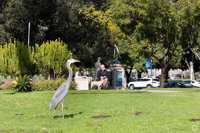 Sometimes, locals can spot wildlife like herons in Hillcrest.