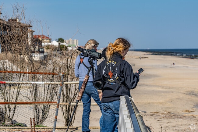 Allenhurst has plenty of beach related activities to explore.