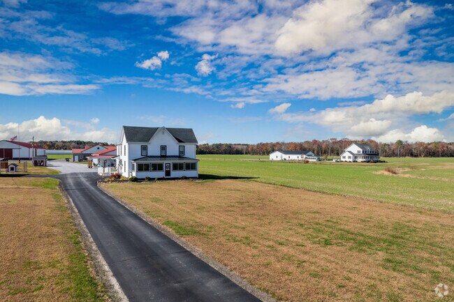 Colonial Revival homes often feature acre-sized lots in Rhodesdale.