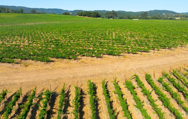 Vineyards dot Templeton and the Paso Robles area of California.