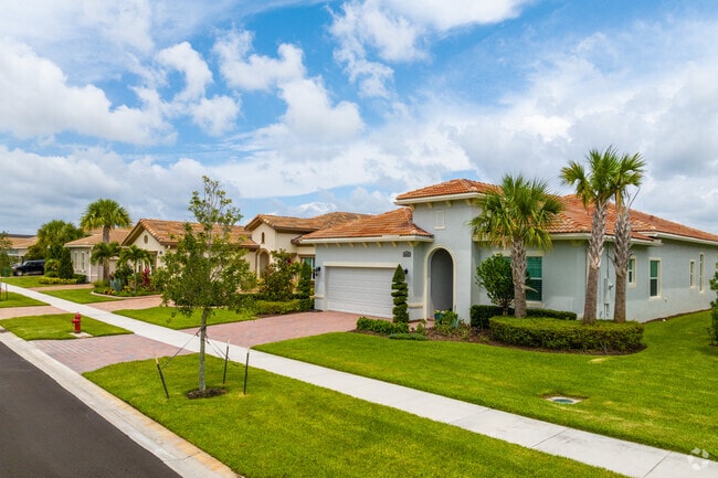 Row of single family homes in Verano.