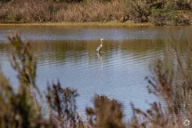 Discover various bird species at the rookeries at John Hargrove Environmental Complex.