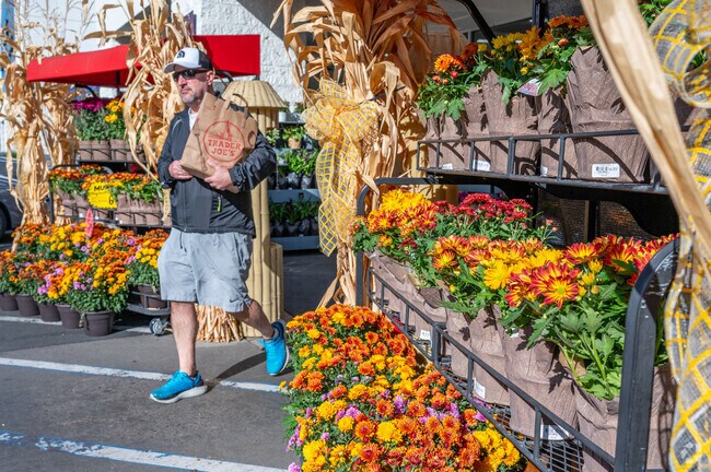 There is plenty to shop for at Trader Joe's near Willow Springs.