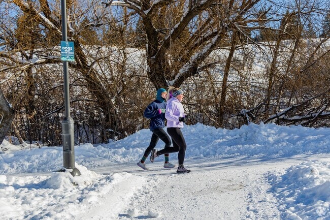 It's common to see people going on brisk morning jogs in Springhill.