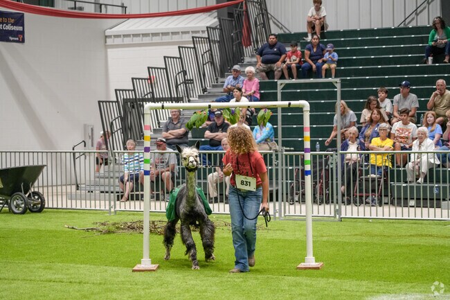 Students raise animals and participate in events throughout the Lafayette 4-H County Fair