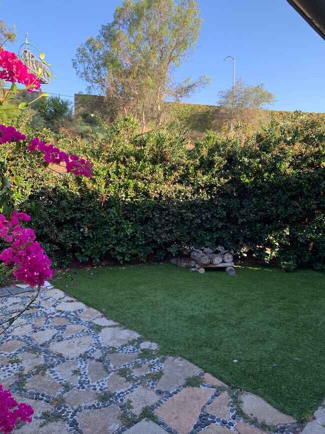 Front yard