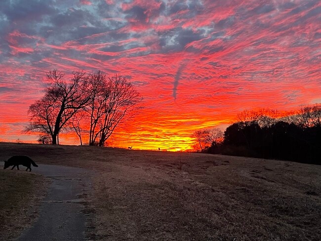 4973 Riverbank Dr, Hermitage, TN 37076 - photo 7