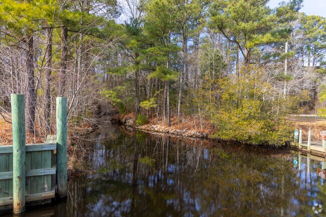 Enjoy the beauty of nature while navigating the creek at Dismal Swamp Canal Trail.