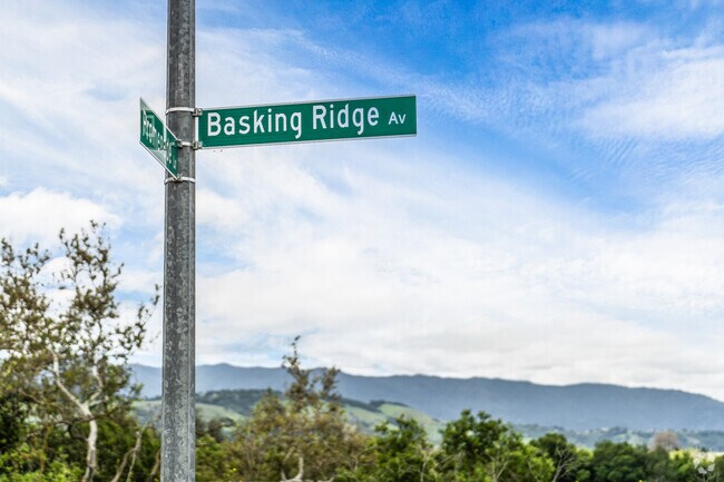 Basking Ridge is where living awaits, with spacious homes, scenic paths, and everything you need just around the corner.