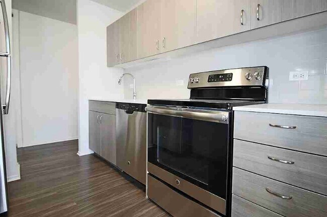 1138 N Dearborn Pkwy, Chicago, IL 60610 - photo 4