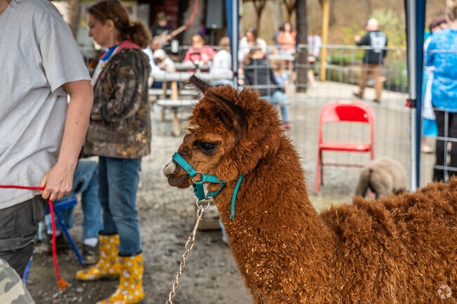 Furry creatures were waiting to be petted at Mal's Spring Bash 2025 in Cheat Lake.