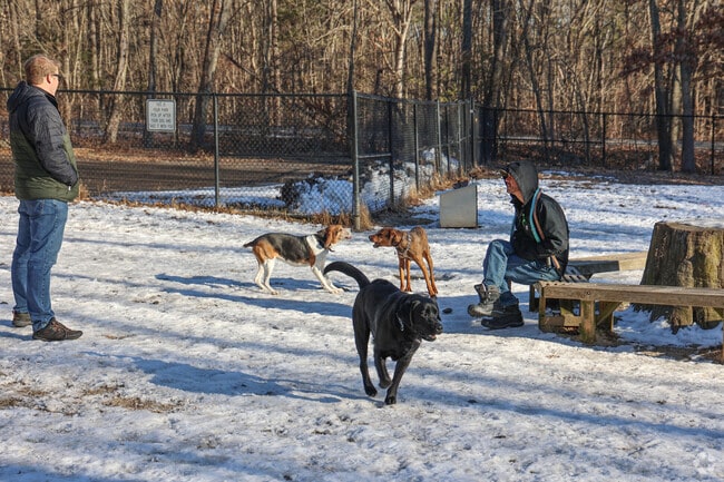 Andover Dog Park offers a popular spot for pets and owners in Far West Andover.