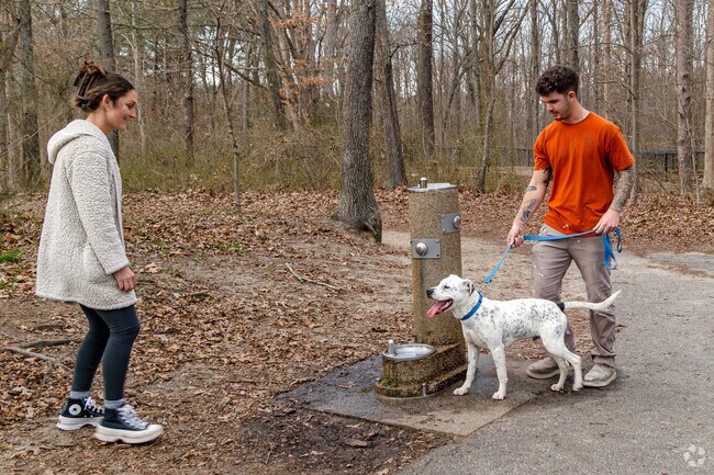 Take pups to the water fountain after walking around Timber Creek Park in Gloucester Township.