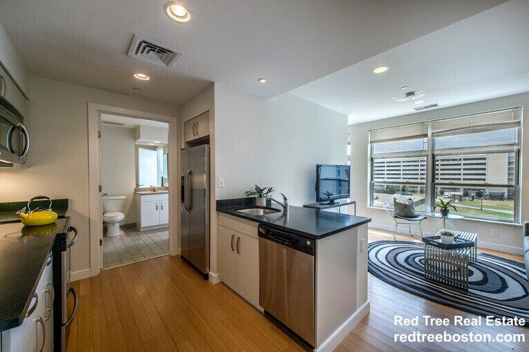 601 Albany St unit 302, Boston, MA 02118 - photo 1