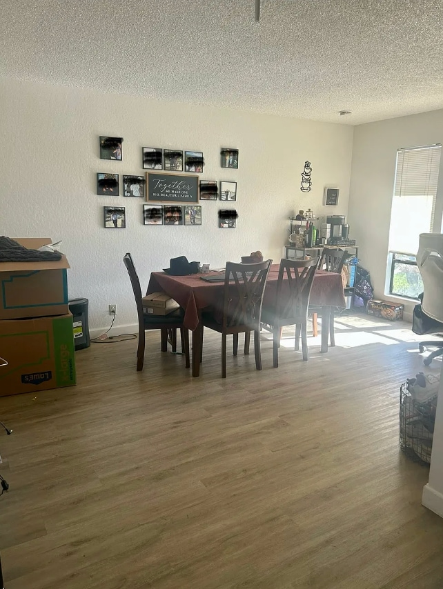 8073 Treecrest Ave, Citrus Heights, CA 95610 - photo 5