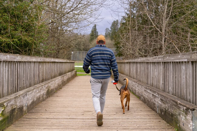 Walk the Fanno Creek Trail to Dirksen Nature Park, which has an open field for pups to run.