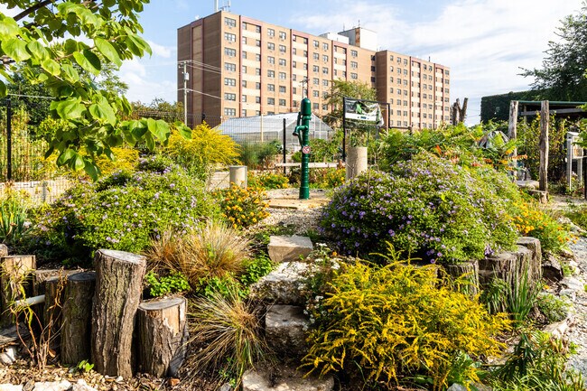 Austin gardeners are becoming very popular in the area.