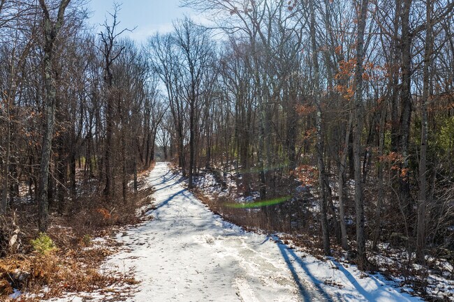 Brierly Pond is also home to a network of trails in Bramanville Village.