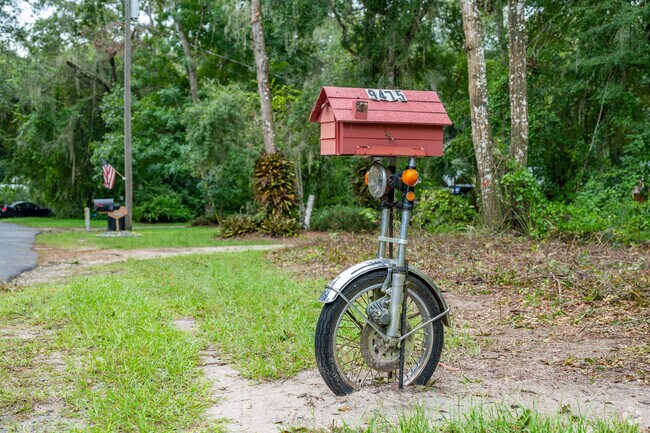 Residents of Withlacoochee Heights decorate their properties with distinct styles.