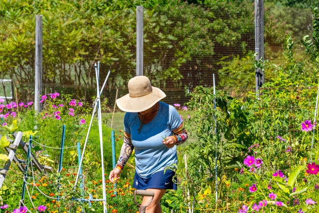 Outdoor recreation and gardening is common in Redding.