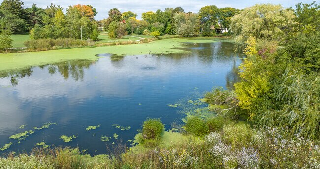 Breathe in the fresh air at Dineen Park.