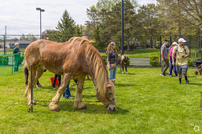 The annual Earth Day Celebration, in Parma Heights, is a free and family friendly activity.