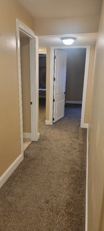 929 W Sunrise Ln unit B, American Fork, UT 84003 - photo 4