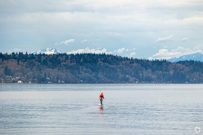 Hydrofoilers glide through the waters off the coast of Three Tree Point.