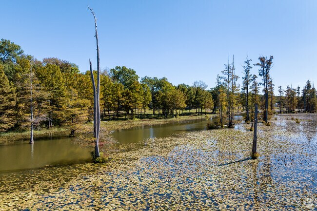 William Kirsch Preserve is the perfect place to take the kayak out.