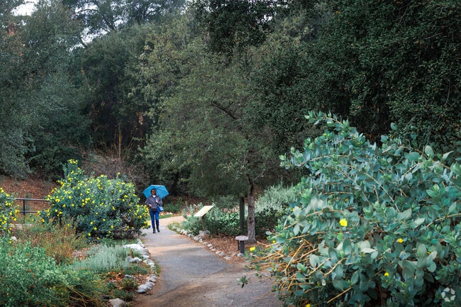 Find a moment to relax at the California Botanic Garden in Claremont.