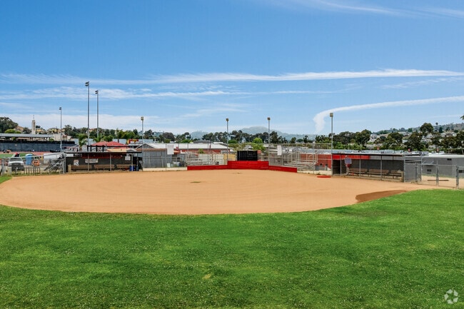 Mount Miguel High in La Presa takes pride in their athletics with new playing fields.
