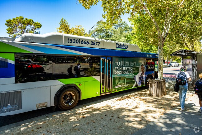 Yolobus stops downtown keep local and intercity travel convenient.