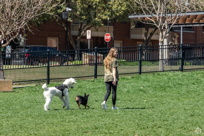 Spruill Dog Park is the perfect place in Addison Circle for residents to play with their dogs.