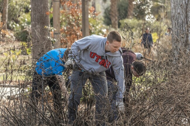 Old Town Spring is a close community with church volunteer groups that help out local parks.