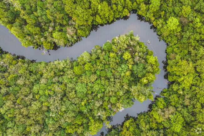 Chickasabogue Park is a beautiful park near Mohawk.