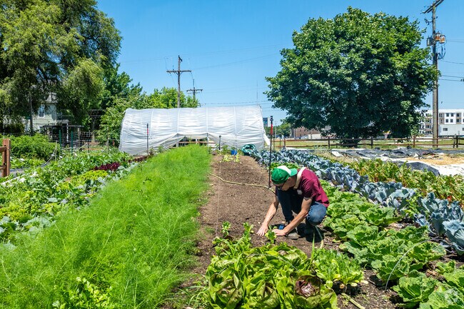 Franklinton Farms in Franklinton are dedicated to growing and sharing healthy foods.