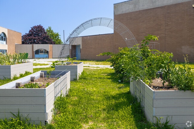 The garden at Gomes Elementary School.