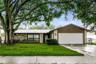813 Regal Palm Ct, Brandon, FL 33510