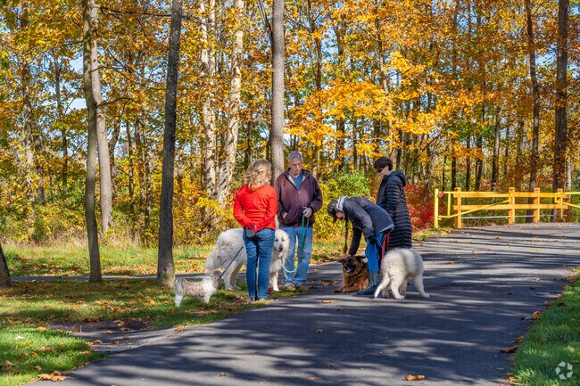 Residents walk their dogs at Upper Saucon Township Community Park along the Rail Trail.