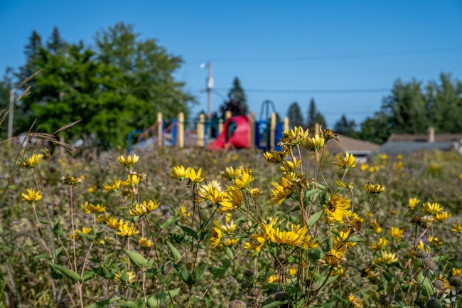 There are plenty of wildflowers in the summer at Piedmont Park.