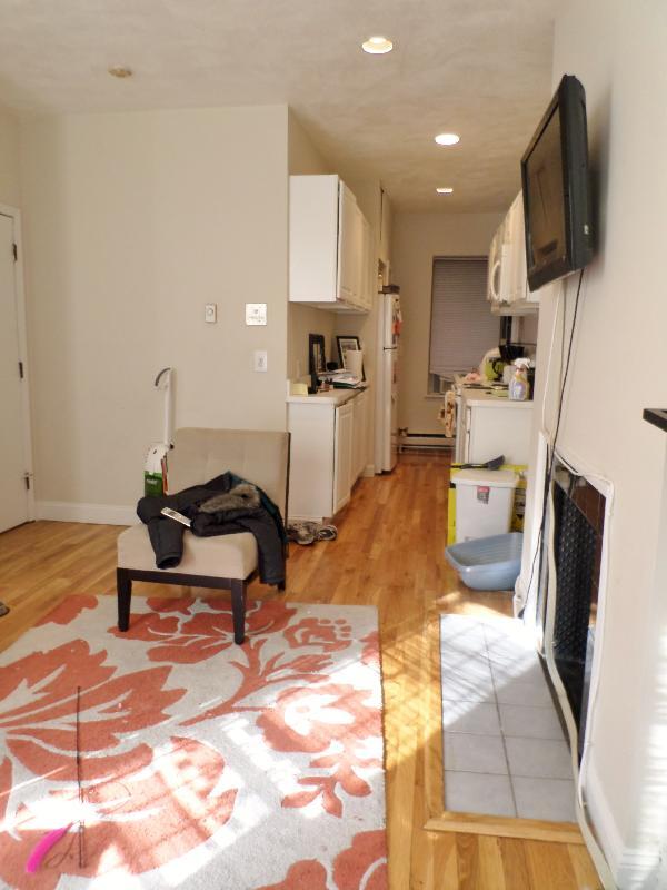 61 Westland Ave unit 1, Boston, MA 02115 - photo 4